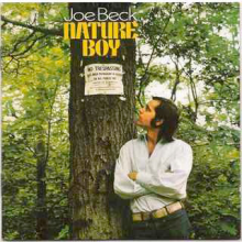 Beck, Joe - Nature Boy
