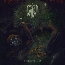 Domhain - In Perfect Stillness