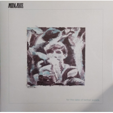 Midlake - For the Sake of Bethel Woods