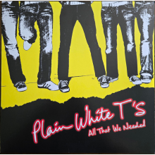 Plain White T's - All That We Needed