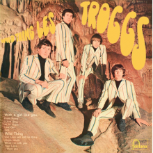 Troggs - Wild Thing