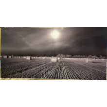 V/A - The Endless Coloured Ways: the Songs of Nick Drake