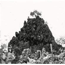 Davids, Kat - Winterswell