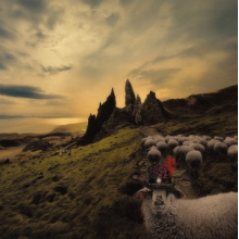 Carducci, Franck - Sheeple