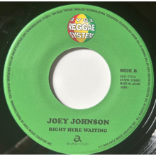 Johnson, Joey - 7-I.G.Y. - Right Here Waiting
