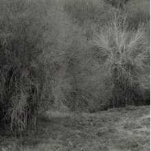 Leimer, K. - Atrophies For Piano