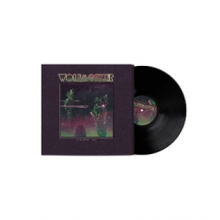 Wolfmother - Rock'n'roll Baby