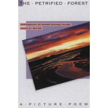 Valdez, Steven Michael - Petrified Forest