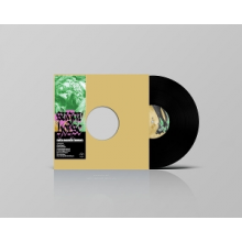 Sugar Horse - Not a Sound In Heaven