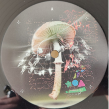 Lusu - Move 2 the Groove