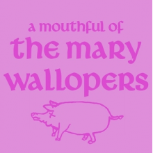 Mary Wallopers - A Mouthful of the Mary Wallopers