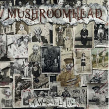 Mushroomhead - A Wonderful Life