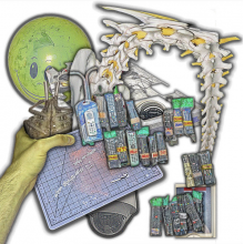 Lip Critic - Theft World