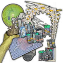 Lip Critic - Theft World