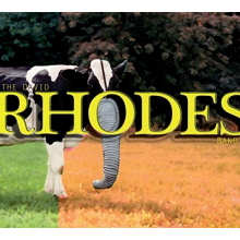 Rhodes, David -Band- - The David Rhodes Band