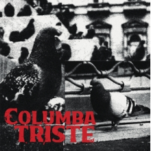 Columba Triste - 7-Ronchin-Bois Blanc