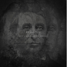 400 Lonely Things - Why I Went To the Woods