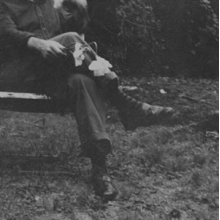 Needtobreathe - Long Surrender