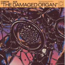 Aua - Damaged Organ
