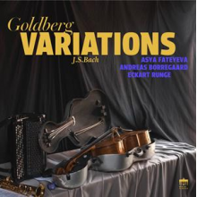 Fateyeva, Asya & Eckart Runge & Andreas Borregaard - J.S. Bach: Goldberg Variations