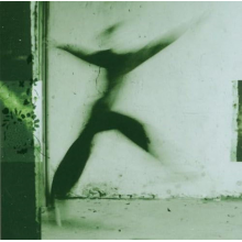 Gathering, The - Souvenirs