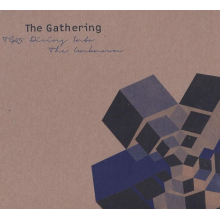 Gathering, The - TG25 Diving Into The Unknown