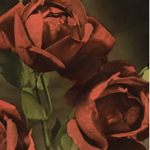 Cindy - Another Country