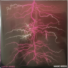 James, Leifur - Magic Seeds