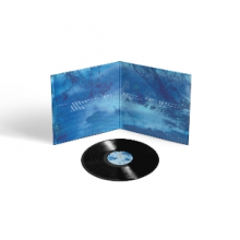 O'Brien, Ed - Blue Morpho