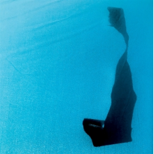 Unwed Sailor - High Remembrance