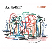 Harvey, Levi - Bloom