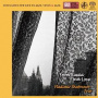 Vladimir Shafranov Trio - From Russia With Love