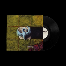 Dove Ellis - Blizzard