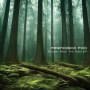 Foo, Francisco - Europe After the Rain