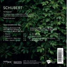 Gaudet, Mathieu - Schubert: the Testament
