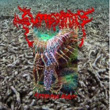 Guttersnipe - Extinction Burst!