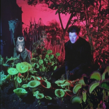 Vjeze Fur - Tuinieren