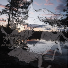 Panopticon - Det Hjemsokte Hjertet