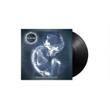 Sun Don't Shine - From Birth To Death