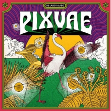 Pixvae - De Lado a Lado