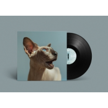 Princess Thailand - Golden Frames