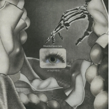 Wheelchair Sports Camp - Of Imperfecta!