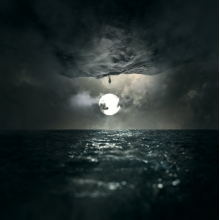Wooden Veins - In Finitude