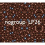 Nogroup - Nogroup Lp26
