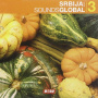 V/A - Srbija Sounds Global 3