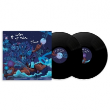 Monet, Aja - The Color of Rain