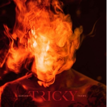 Tricky - Adrian Thaws