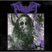 Putrisect - Putrisect