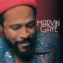 Gaye, Marvin - Collected