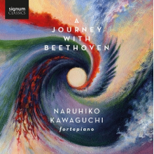 Kawaguchi, Naruhiko - A Journey With Beethoven